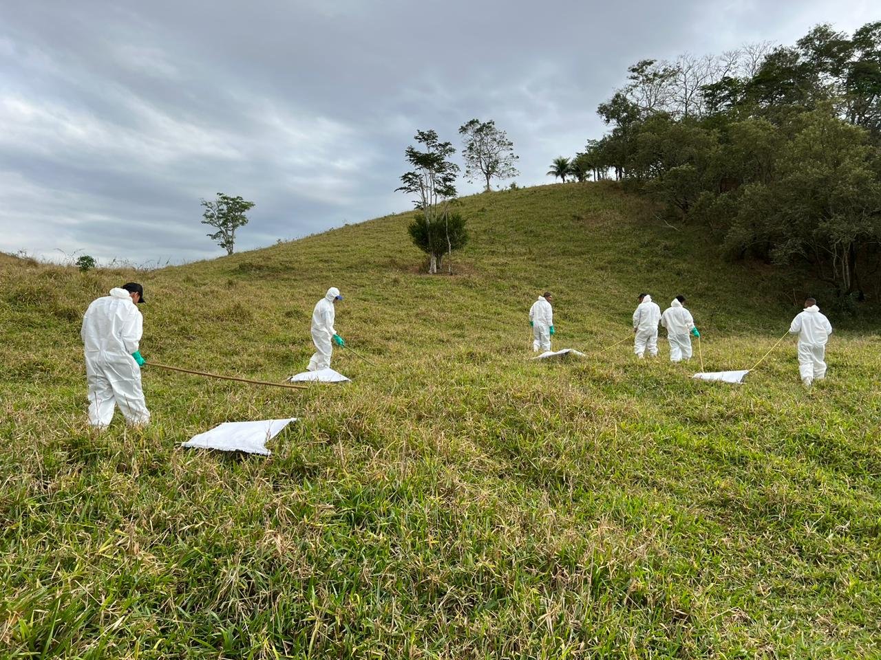 Vigilância Ambiental realiza trabalho de prevenção da febre maculosa em