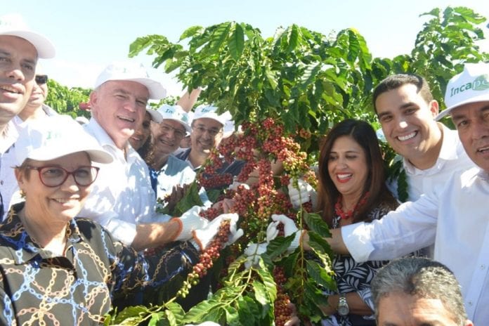 Governador e ministra da Agricultura dão início à colheita do café no Espírito Santo