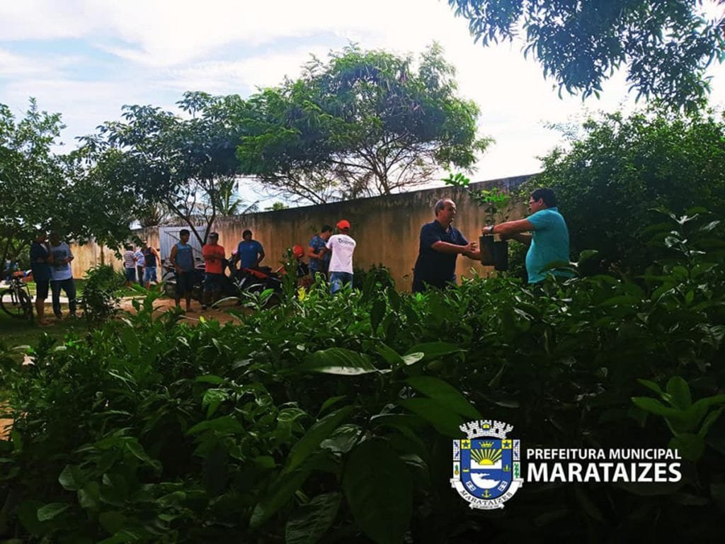 Prefeitura de Marataízes disponibiliza mudas frutíferas para produtores rurais do município