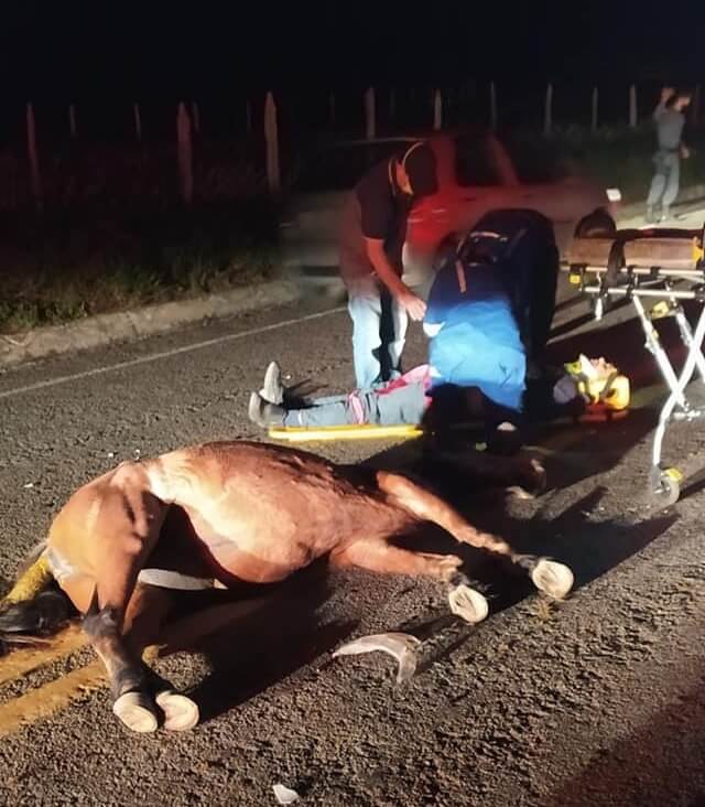 Motociclista colide com cavalo no trevo de Boa Vista
