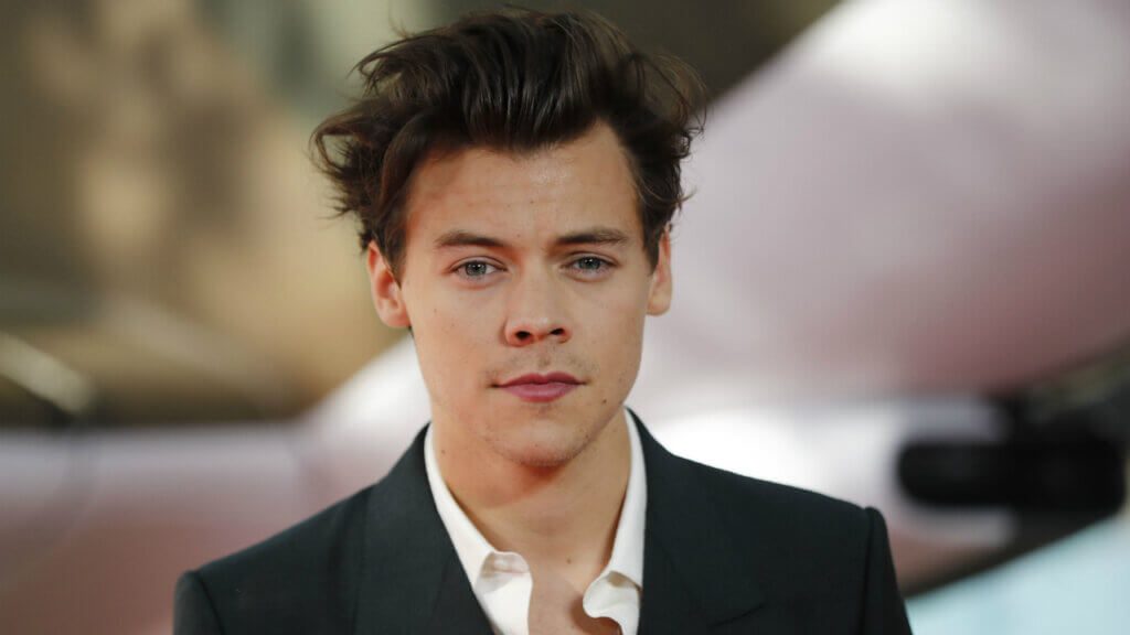 Harry Styles one of the 20 most beautiful men in the world