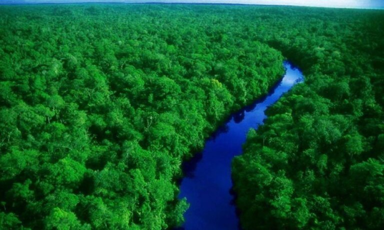 Ministério do Meio Ambiente amplia eficiência e dá maior relevância à Amazônia, ao Clima e a Áreas Protegidas