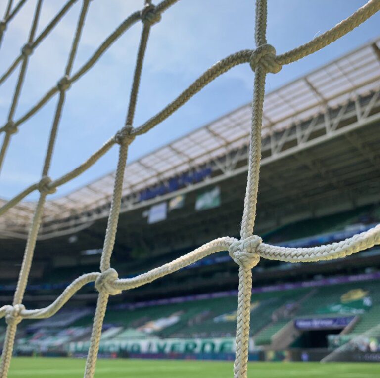 Foto: Twitter Palmeiras