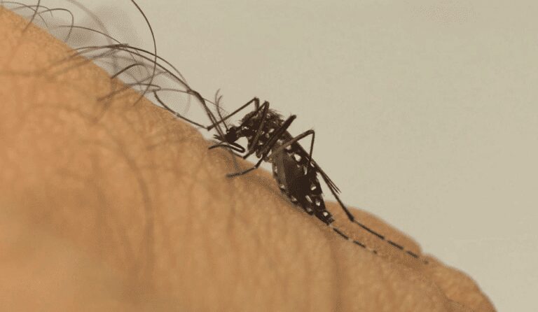 Você sabia que a Zika pode ser transmitida de três formas diferentes?