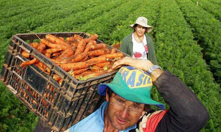 Governo Federal destina mais R$ 72,9 milhões a programa que ajuda agricultores familiares no enfrentamento dos efeitos causados pela Covid-19