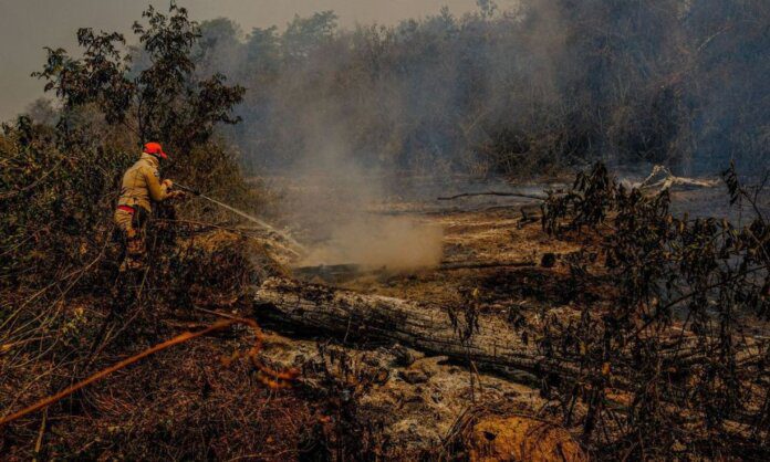 Governo Federal destina mais de R$ 14 milhões para combate a incêndios no Pantanal