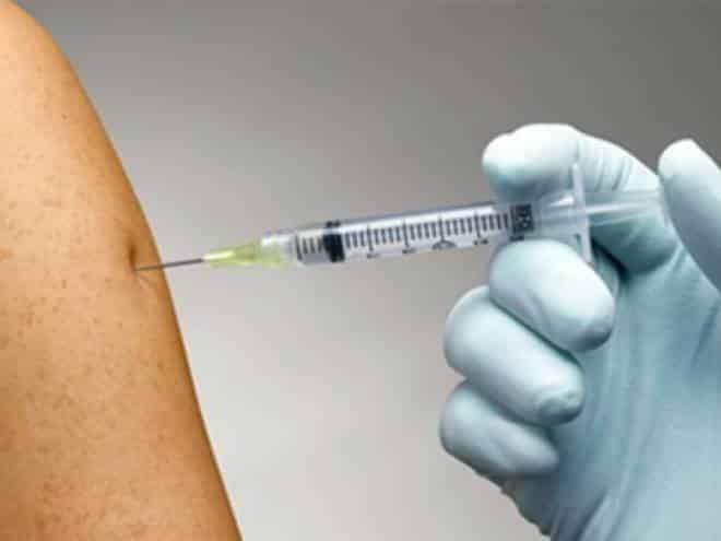 Vacina com vírus vivo é eficaz contra doença que prejudica imunidade de aves