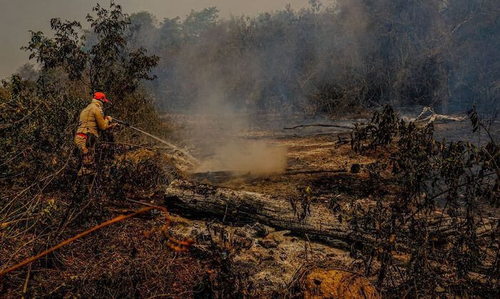 Decoada: volta das chuvas é tragédia ambiental extra no Pantanal