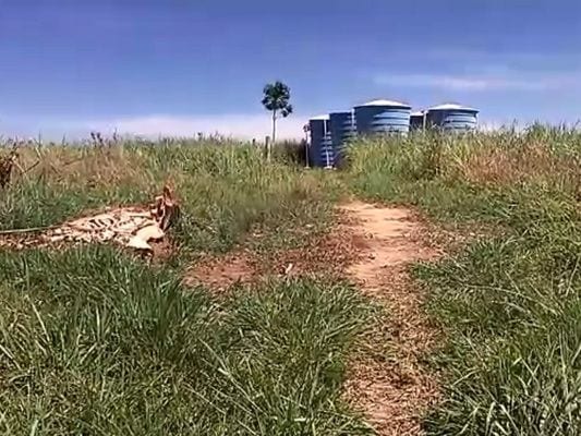 Moradores de Brejo Grande do Norte em Itapemirim reclamam da qualidade da água; veja o vídeo