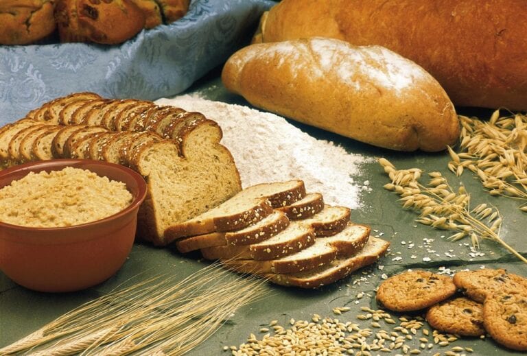 Pão e bolo faltaria hoje sem o manejo de pragas e doenças no cultivo de trigo