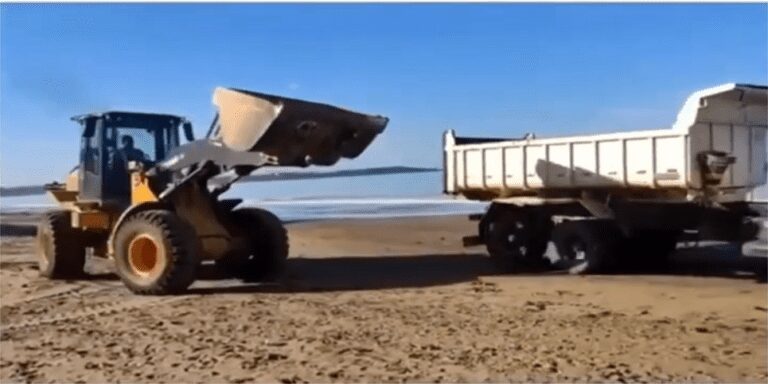 Uma lei para proibir varredura da praia de Anchieta com máquinas pesadas e a destruição do ecossistema