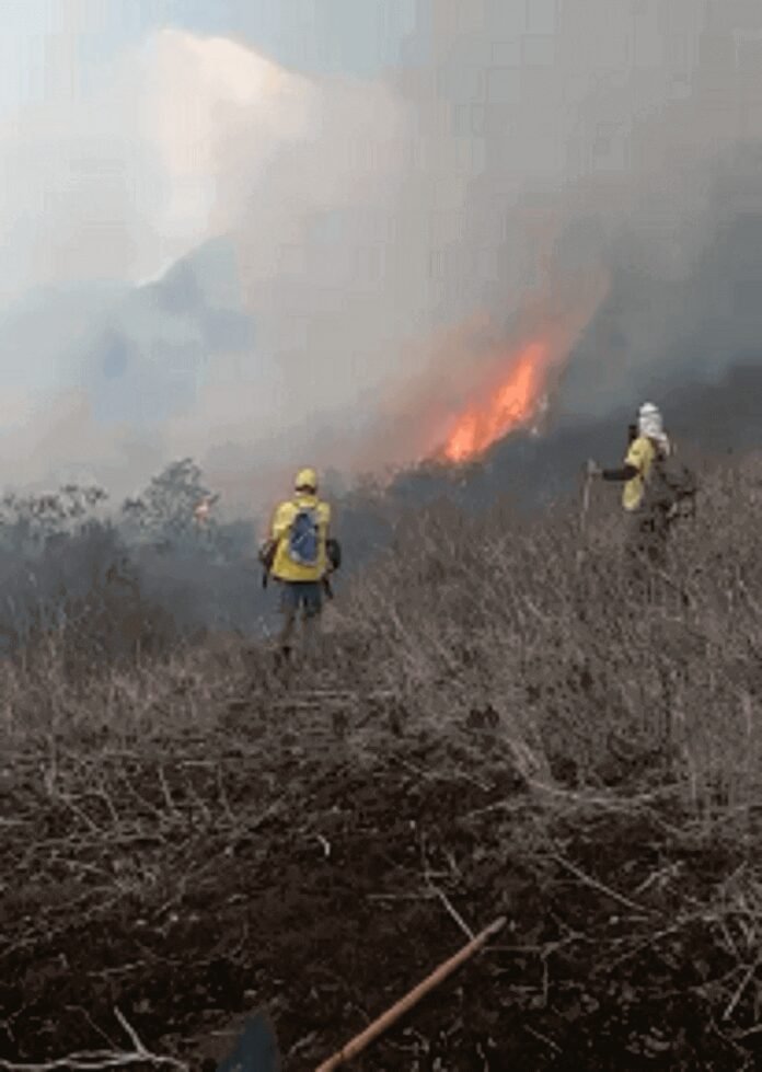 Incêndio de grandes proporções atinge Parque Nacional do Caparaó