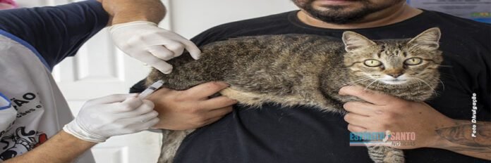 Dia D de Vacinação Antirrábica atende mais de 3 mil animais em Piúma/ES