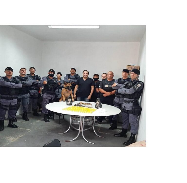 Cadela Alga ajuda polícias Civil e Militar a apreender drogas e arma em Calçado