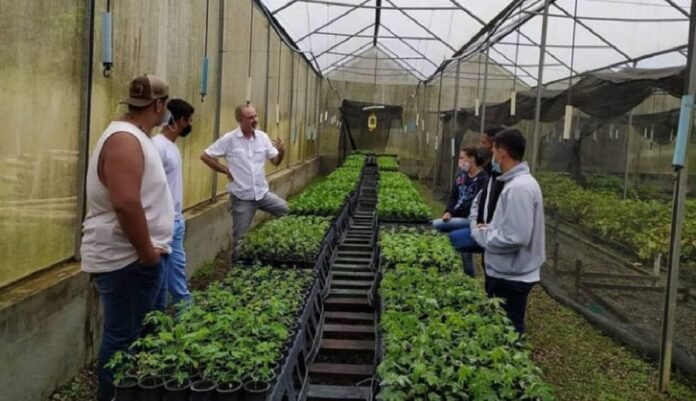 Escola Família Agrícola de Cachoeiro abre inscrições para 40 vagas em 2021