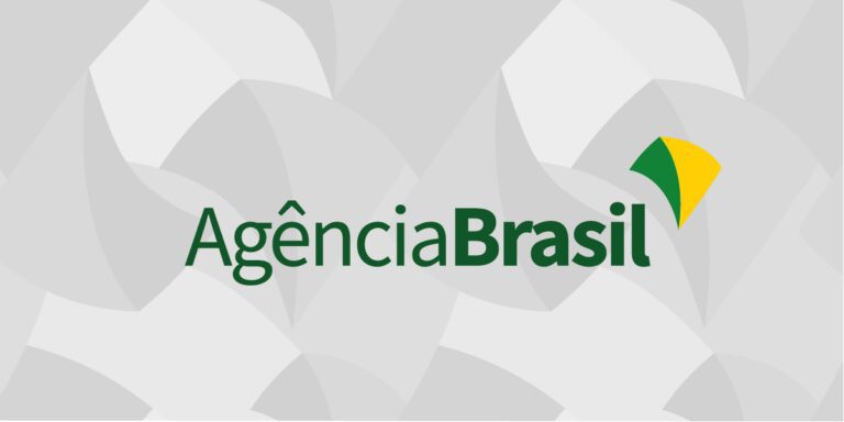 Bolsonaro recebe credenciais de sete novos embaixadores no Brasil