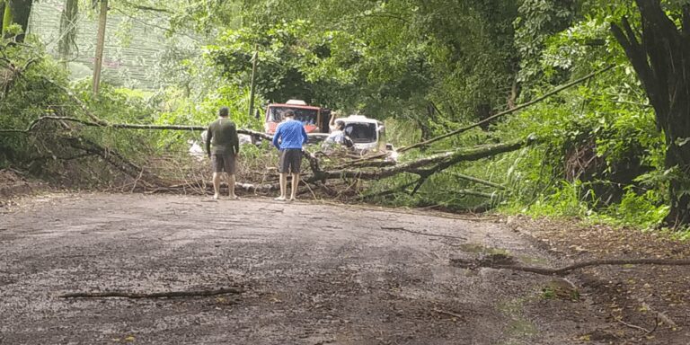 VÍDEO/ ventania e chuva forte derrubam árvores, destelham casas em Piúma, Iconha e causam muitos estragos