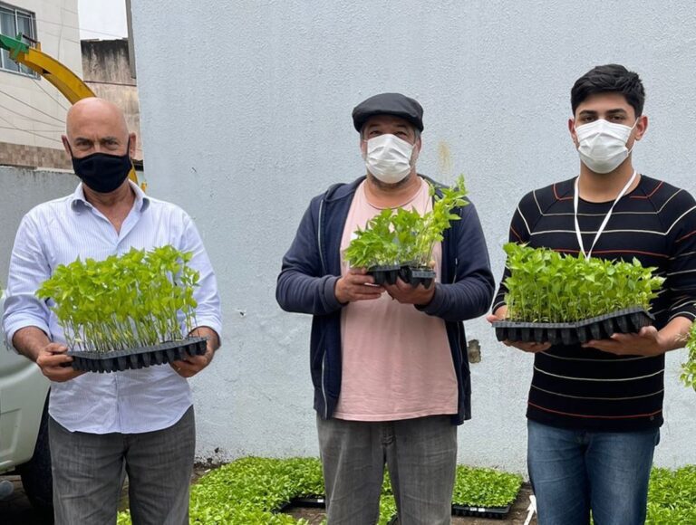 Produtores rurais recebem cinco mil mudas de pimenta da prefeitura de Guarapari
