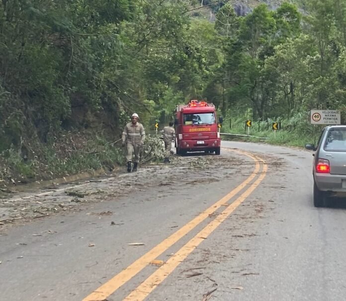 Tempestade interdita rodovia em Vargem Alta e árvore cai sobre carro em Iconha
