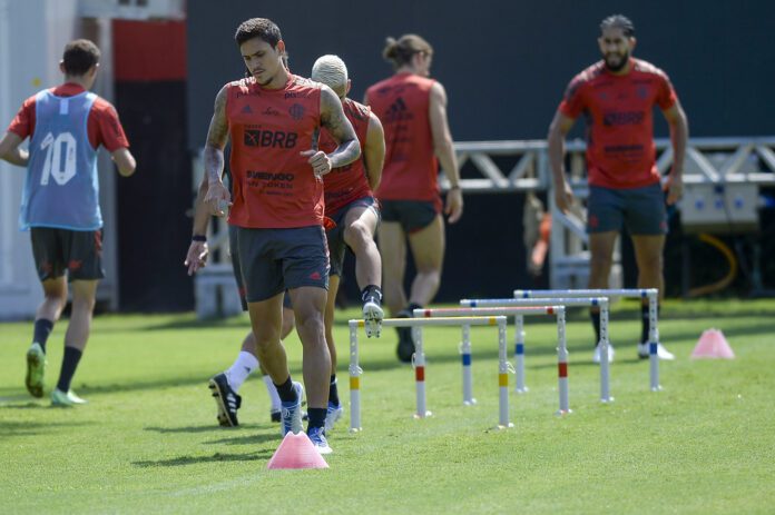 Em ano de Copa, Pedro vive temporada com menos frequência em campo pelo Flamengo