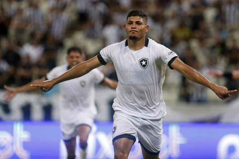 Erison evitar traçar metas de gols no Botafogo