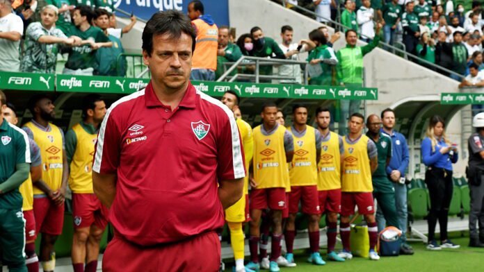 Diniz elogia postura do Fluminense contra o Palmeiras e lamenta lesão de Ganso