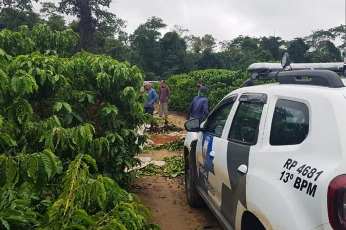 Segurança rural é pauta na Comissão de Agricultura