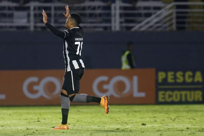 Vinícius Lopes exalta fim de sequência negativa do Botafogo