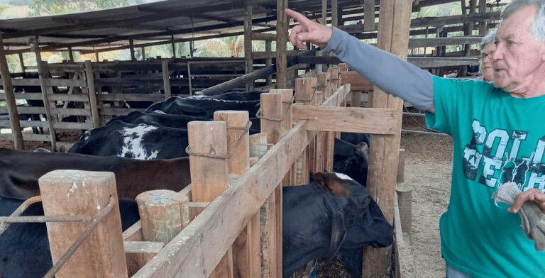 ANCHIETA: produtores participam de curso sobre alimentação de bovinos