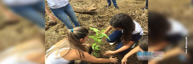 Semana da Árvore: plantio e doação de mudas em diversos bairros em Anchieta/ES