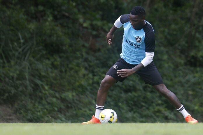 Lesionados se recuperam, treinam e podem reforçar o Botafogo contra o Goiás