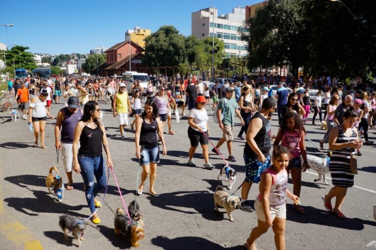 Domingo (9) tem “cãominhada” e feira de adoção de pets em Cachoeiro
