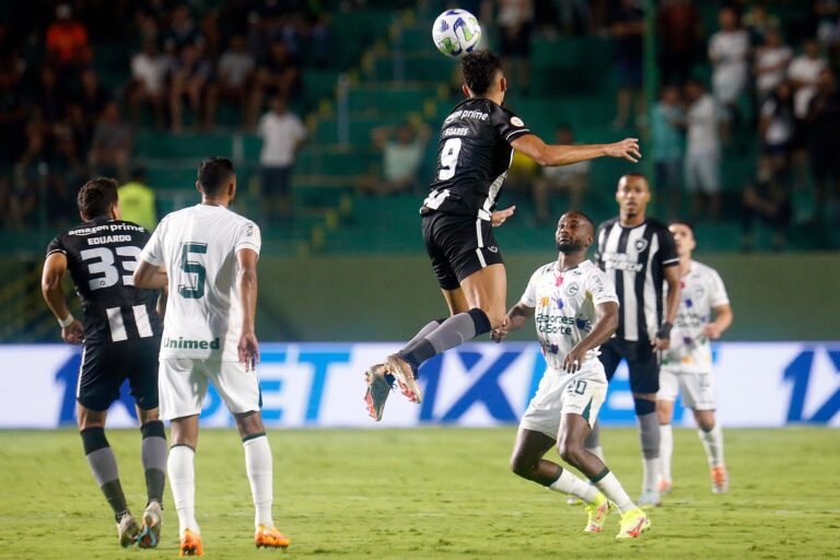 Botafogo toma virada do Goiás pelo Brasileiro e vê vantagem para o Palmeiras diminuir