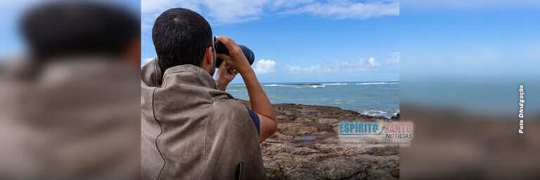 MARATAÍZES: Prefeitura realiza ações de monitoramento de aves marinhas em ilhas do município