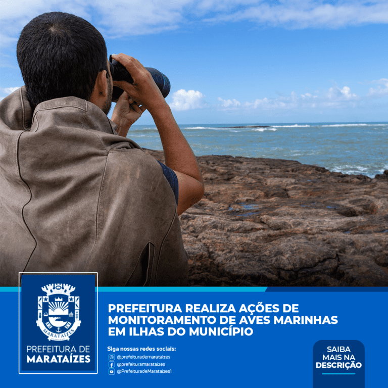 Prefeitura realiza ações de monitoramento de aves marinhas em ilhas do município