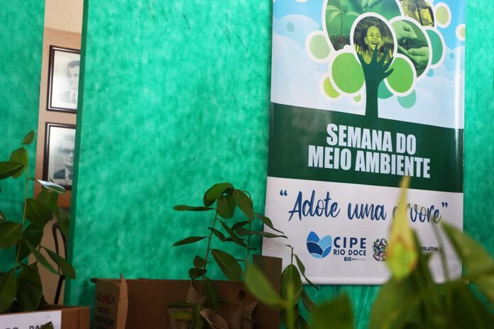 Doação de mudas marca Dia do Meio Ambiente