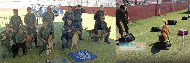 Marataízes: Guarda Civil Municipal realiza campeonato de cães de detecção