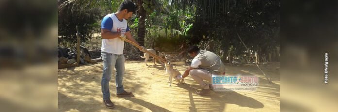 KENNEDY: Prefeitura realiza Dia D de vacinação antirrábica para cães e gatos