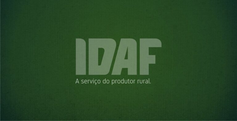 Governo ES: Idaf suspende prazos para processos de municípios atingidos pelas chuvas.