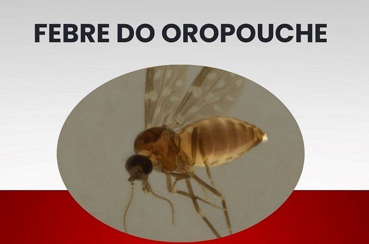 Febre do Oropouche confirmada pelo Lacen no governo do Espírito Santo.