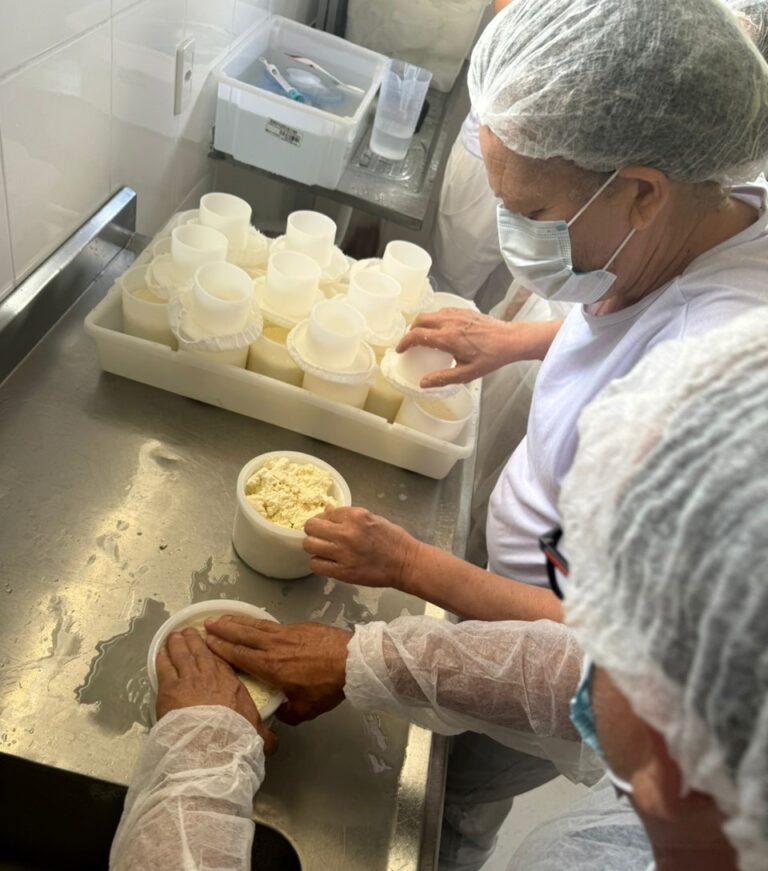 Governo do ES oferece curso para regularização de agroindústrias de queijo no norte e noroeste do Estado