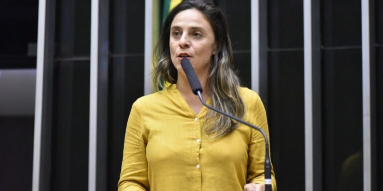 Conselho de Ética da Câmara arquiva ação contra Fernanda Melchionna