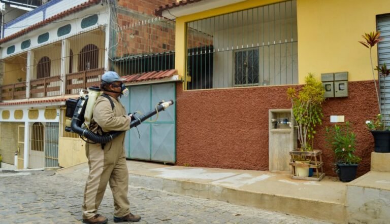 Dengue: boletim aponta queda de 77% nos casos confirmados em Cachoeiro