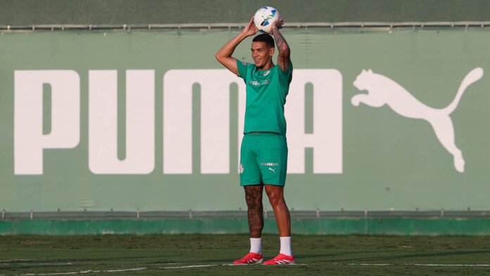 Botafogo demonstra interesse em Naves, mas Palmeiras não pretende liberar o zagueiro